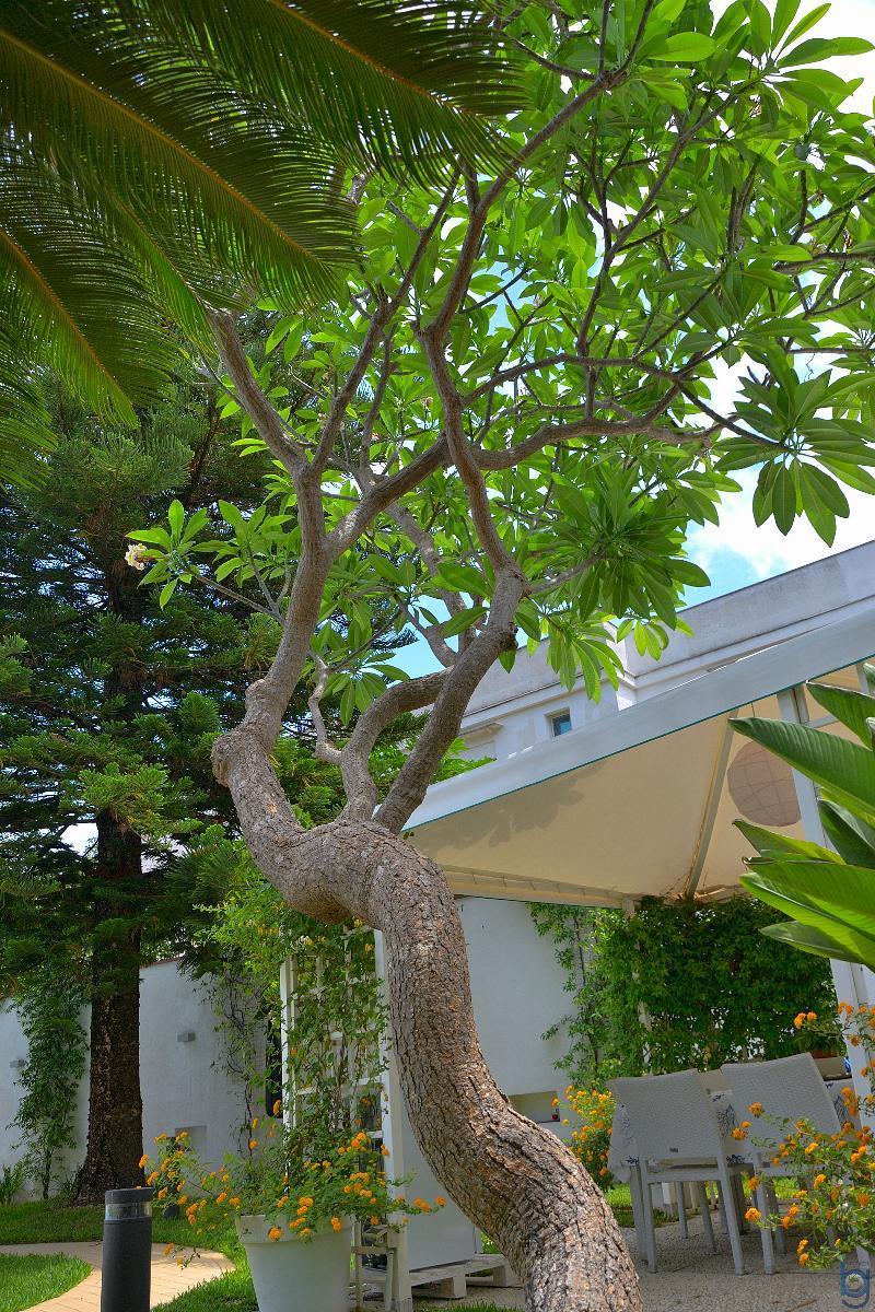 B&B Mondello Resort Экстерьер фото